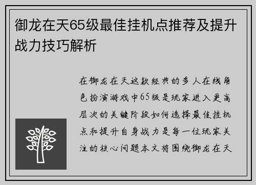 御龙在天65级最佳挂机点推荐及提升战力技巧解析